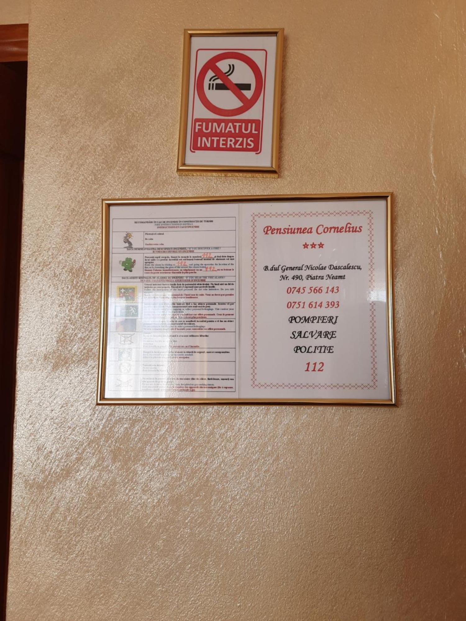 Pensiunea Cornelius Karácsonkő Kültér fotó